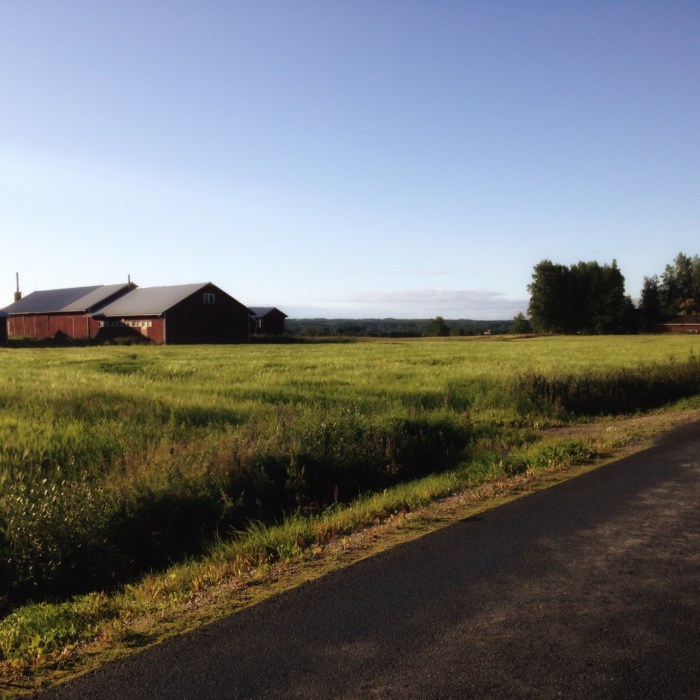 Pohjanmaa Sedu opettaja maallemuutto maaseutu